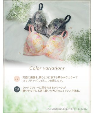 Wing ブラジャー 小さく見せるブラ Wing Lesiage 脇すっきり 背中すっきり 【2900シリーズ】 ブラ PB2901 ウイング／ワコール アイボリー