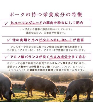 PET PARADISE ≪配合リニューアル≫ ペットパラダイス  国産 ドッグフード フローラ3kg 0