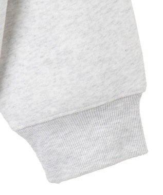 WEGO ワッペンロゴパーカー グレーその他