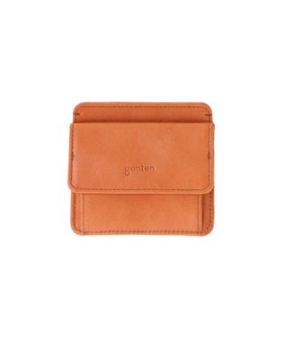 genten ゴートベーシック フラグメントケース レンガ