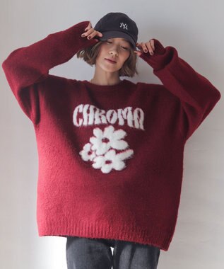 WEGO 【ユニセックス着用ITEM/MLサイズ展開/25年秋冬新作】ファジーグラフィックプルオーバー