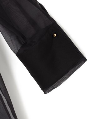 BEIGE， 【WEB限定】SAPHIR / シアーブラウス Black