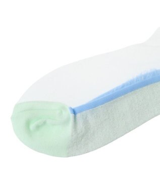 Green Parks ＪＡＭＧＡＲＤＥＮ　シアーラインラメソックス Light Green