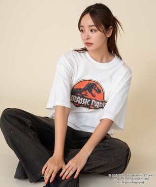 WEGO 【ユニセックス着用ITEM/SMLサイズ展開】JURASSIC　PARKグラフィックT（S） 柄1
