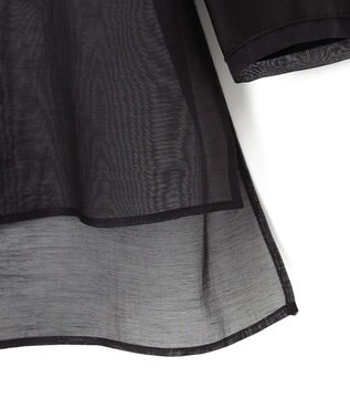 BEIGE， 【WEB限定】SAPHIR / シアーブラウス Black