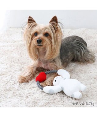 PET PARADISE ディズニー ロープ トイ 《ベイマックス》 小型犬 ベイマックス