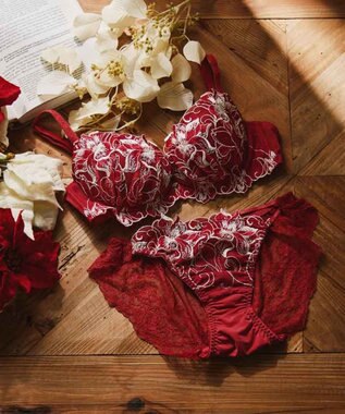 San-ai Resort（三愛水着楽園） 【エレガントコレクション2311】単品ブラＵ80カップ  【northerly】 レッド