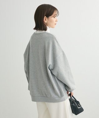 Green Parks ・ＤＯＵＢＬＥ　ＦＬＡＧＳ　フォトｐｔスウェット Gray Mixture