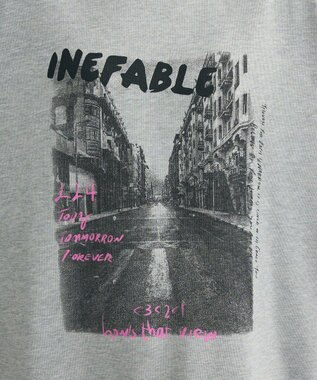 Green Parks ・ＤＯＵＢＬＥ　ＦＬＡＧＳ　フォトｐｔスウェット Gray Mixture