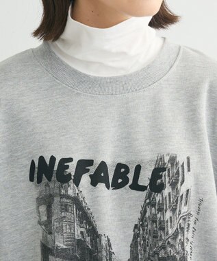 Green Parks ・ＤＯＵＢＬＥ　ＦＬＡＧＳ　フォトｐｔスウェット Gray Mixture