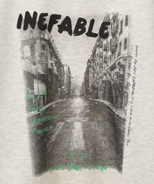 Green Parks ・ＤＯＵＢＬＥ　ＦＬＡＧＳ　フォトｐｔスウェット Oatmeal