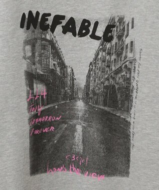 Green Parks ・ＤＯＵＢＬＥ　ＦＬＡＧＳ　フォトｐｔスウェット Gray Mixture