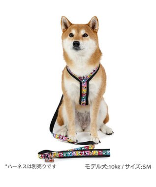 PET PARADISE スヌーピー 75周年 リード 中型犬 ～SM 75周年柄