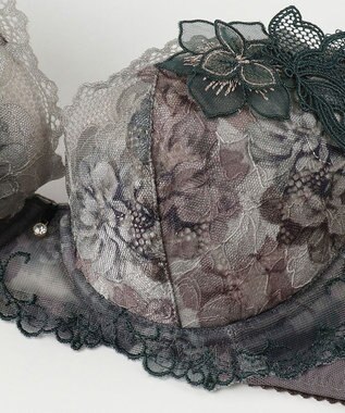 Wing ブラジャー Wing Lesiage サイドすっきり しっかりフィット 【2900シリーズ】 ブラ PB2900 ウイング／ワコール ダークブラウン