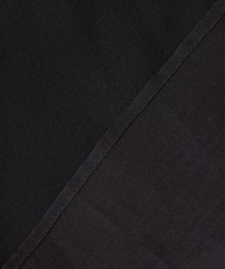 BEIGE， 【WEB限定】SAPHIR / シアーブラウス Black