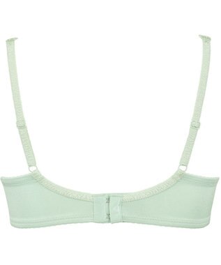 Wing Wing Lesiage 【3000シリーズ】 PB3000 ウイング／ワコール メロン