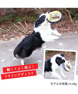 PET PARADISE 犬 おもちゃ リサとガスパール フライングディスク M (直径22cm) 黄