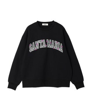 Green Parks ・Ｄｏｕｂｌｅ　Ｆｌａｇｓ　ロゴｐｔ＆刺繍スウェット