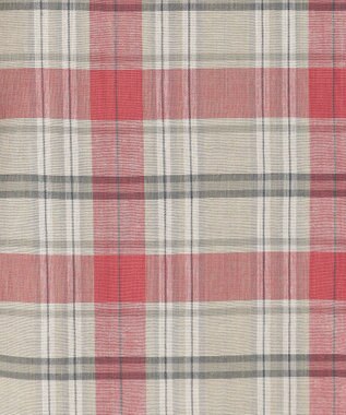 J.PRESS MEN 【WEB・一部店舗限定】マドラスチェックシャツ ライトグレー系3