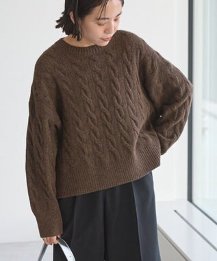 AMERICAN HOLIC ミドルゲージケーブルニットプルオーバー Brown