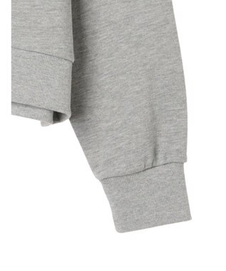 Green Parks Ｃａｒｓ／ワンポイント裏毛スウェット Red