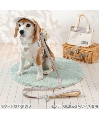 PET PARADISE ペットパラダイス くまチャームリード Ｍ～Ｌ ベージュ