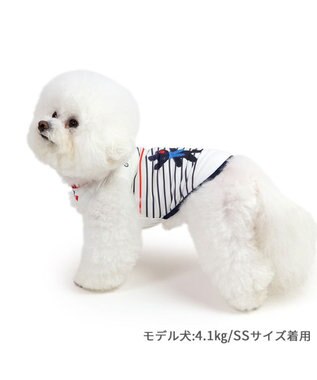PET PARADISE リサとガスパール エコメイド タンクトップ 《ボーダー》 小型犬 ボーダー