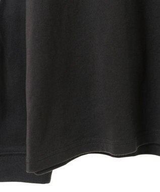 Green Parks ■ＦＥＬＩＸ　袖フェイスｐｔ　ロンＴＥＥ Charcoal Gray