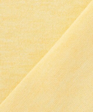 J.PRESS LADIES 【WEB限定カラーあり・洗える】Vis/Peスパーク ラメ ニット イエロー系