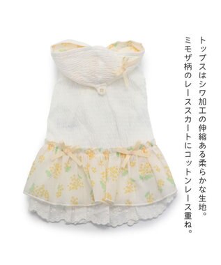 PET PARADISE 犬の服 犬 ワンピース 【小型犬】 ミモザ ホワイト グリーン ホワイト