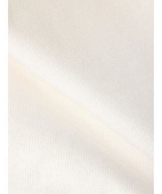 AMERICAN HOLIC Ｓｔａｎｄ　ｓｔｉｌｌ　転写カットプルオーバー B