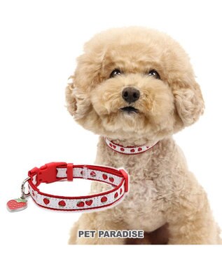 PET PARADISE ペットパラダイス 苺 チャーム付き首輪 ３Ｓ