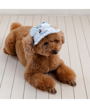 PET PARADISE ディズニー ミッキーマウス なかよし キャップ 《ブルー》 小型犬 ライトブルー