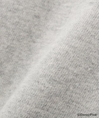 Green Parks トイストーリー／スウェット風ロゴＴシャツ Gray Mixture