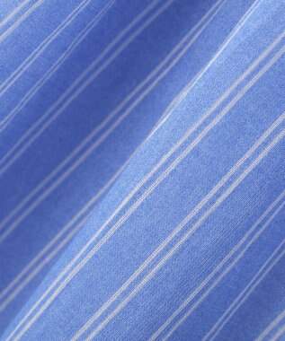 Green Parks 長袖ボイルシャツ Stripe