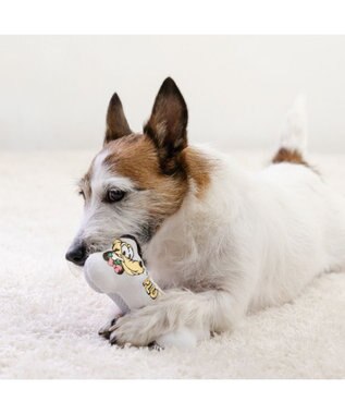 PET PARADISE ディズニー プルート リボン骨 トイ ホワイト