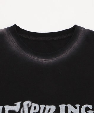 WEGO スプレーグラフィックBIGT ブラック