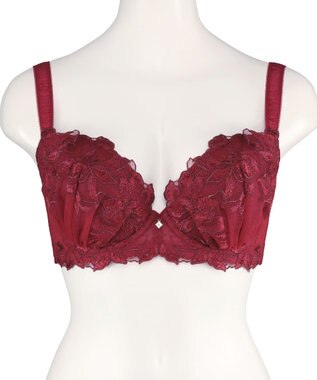 San-ai Resort（三愛水着楽園） エレガントコレクション【2411】単品ブラHIカップ 【northerly】 レッド