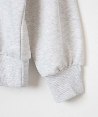 WEGO 【ユニセックス着用ITEM】別注　U.S POLO ASSN.　ハーフZIPPO グレーその他