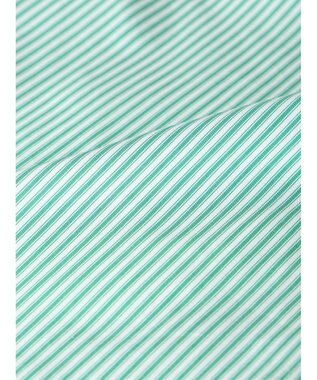 AMERICAN HOLIC イージーケア切替タックワイドシャツ Stripe Green