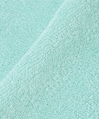 J.PRESS LADIES LIBERTY タオル ハンカチ ライトグリーン系