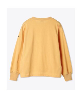 Columbia Columbia/ ウィメンズジプシーバーズロングスリーブクルー /コロンビア Sand Dune
