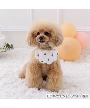 PET PARADISE ペットパラダイス  苺くるくるスタイ  小型犬 ホワイト