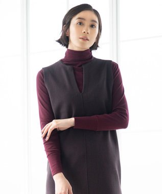 自由区 【XSサイズ～/洗える】ベアテレコ ボトルネック カットソー ワイン系