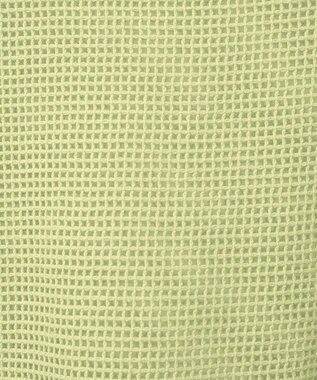 AMERICAN HOLIC メッシュ長袖Ｔシャツ Pistachio