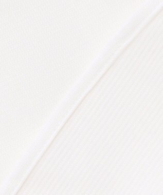 GOTAIRIKU 春夏向け【形態安定】SUMMERPREMIUMPLEATS_ボタンダウン 半袖ドレスシャツ ホワイト系