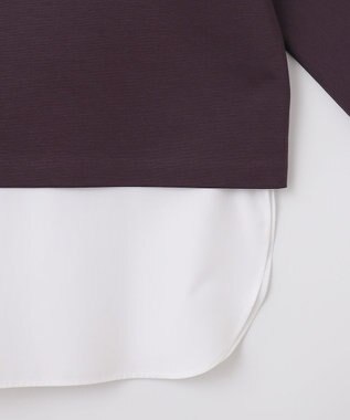 J.PRESS LADIES S TCポンチ ドルマンスリーブ レイヤード カットソー パープル系