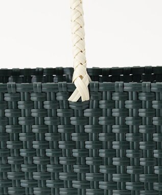 ANY ラインメルカドバッグ グリーン×グレージュ