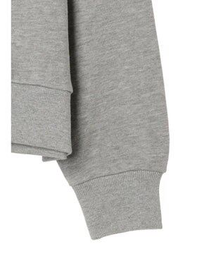 Green Parks モンスターズ・インク／裏毛プルオーバーII Gray Mixture