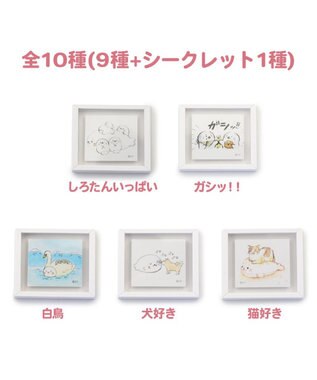 Mother garden しろたん フレームマグネット 10個セット（シークレット1種含む） お楽しみ コレクション -